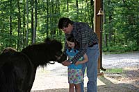 Feeding Horse